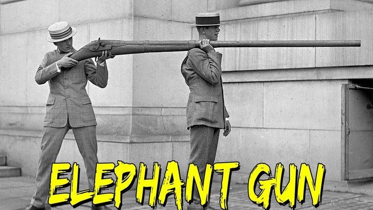 Elephant gun Battlefield Hardline Easter Egg Elephant Gun YouTube