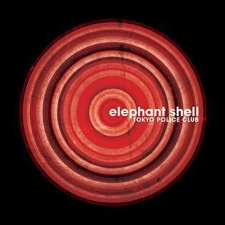Elephant Shell httpsuploadwikimediaorgwikipediaen990Ele