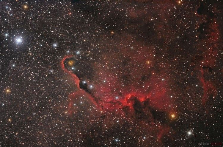 Elephant's Trunk nebula Anne39s Picture of the Day The Elephant39s Trunk Nebula Anne39s