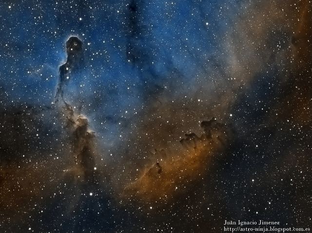Elephant's Trunk nebula Elephant39s trunk nebula in narrowband Sky amp Telescope