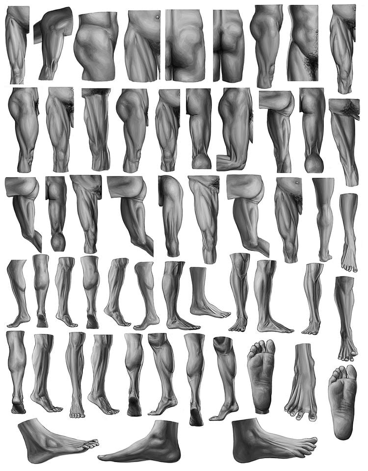 Eliot Goldfinger Human Anatomy For Artists Eliot Goldfinger Gallery Human Anatomy