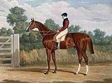 Elis (horse) httpsuploadwikimediaorgwikipediacommonsthu