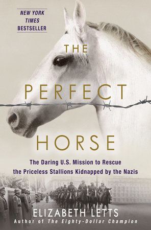 Elizabeth Letts The Perfect Horse by Elizabeth Letts PenguinRandomHousecom