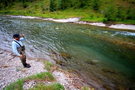 Elk River (British Columbia) Elk River FlyFishing Guides Guiding FlyFishers on The Elk River