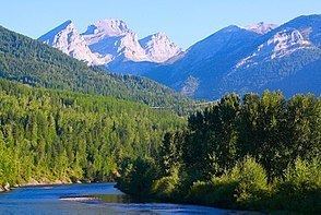 Elk River (British Columbia) httpsuploadwikimediaorgwikipediacommonsthu