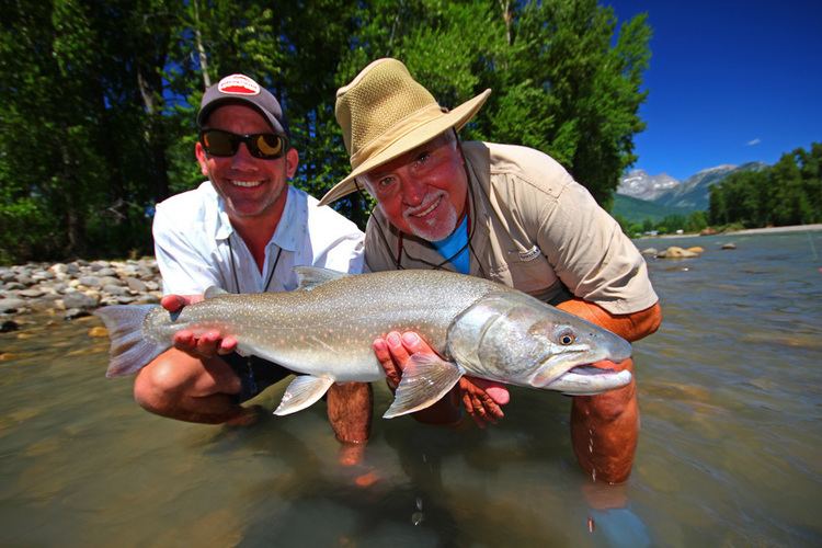 Elk River (British Columbia) Fly Fishing The Elk RIver Fernie British Columbia