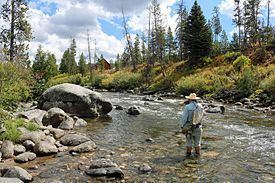 Elk River (Colorado) httpsuploadwikimediaorgwikipediacommonsthu