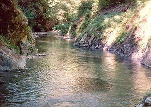 Elk River (Oregon) httpsuploadwikimediaorgwikipediacommonsthu