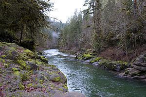Elkhorn Creek (Marion County, Oregon) httpsuploadwikimediaorgwikipediacommonsthu