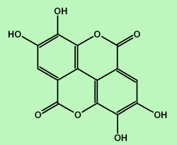 Ellagic acid ellagicacidgif