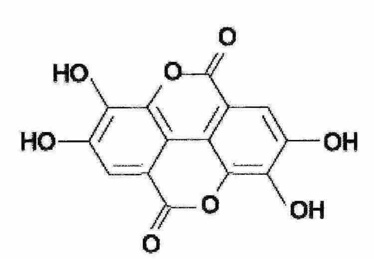 Ellagic acid Solving the Ellagic Acid Sediment Issue The Daily Fruit Wine