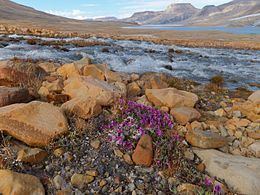 Ellesmere Island httpsuploadwikimediaorgwikipediacommonsthu