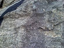 Ellicott City Granodiorite httpsuploadwikimediaorgwikipediacommonsthu
