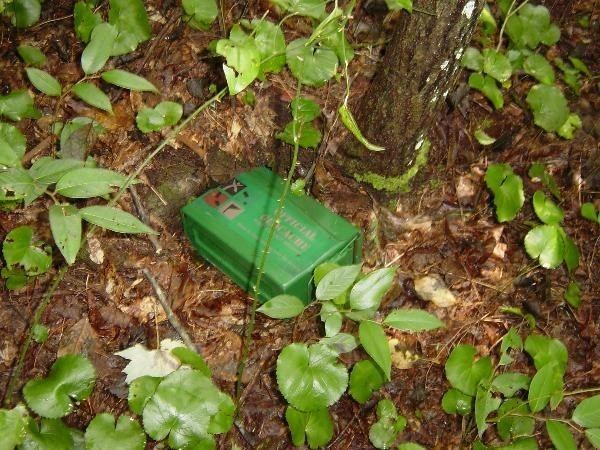 Ellicott's Rock GCFE3 Ellicott Rock Cache Traditional Cache in South Carolina