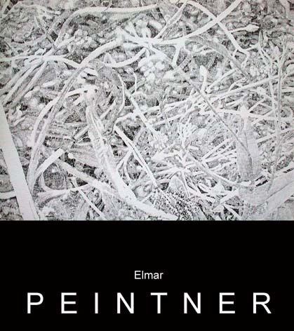 Elmar Peintner Elmar Peintner Contemporary Art Net