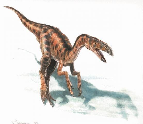 Elmisaurus Elmisaurus Pictures amp Facts The Dinosaur Database