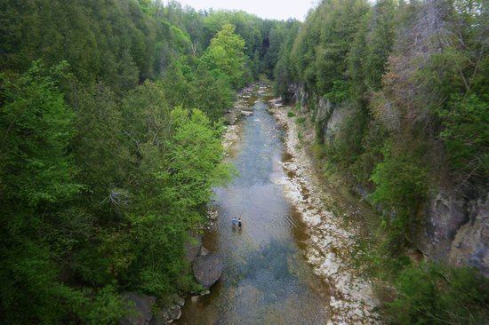 Elora Gorge Elora Gorge Picture of Elora Gorge Conservation Area Elora