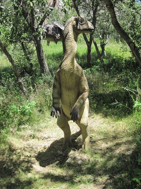 Elrhazosaurus imagesdinosaurpicturesorgElrhazosaurusunknown