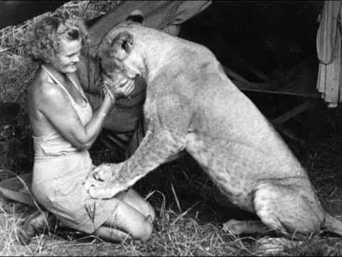 Elsa the lioness Tribute to George and Joy Adamson Elsa the Lioness and Born Free