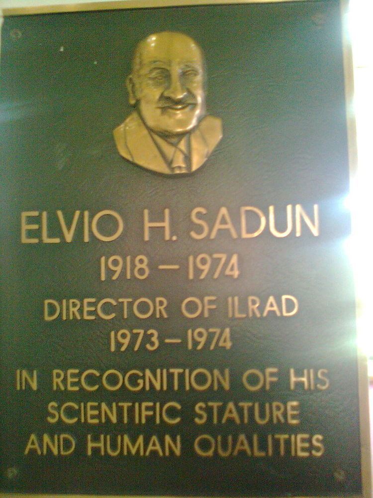 Elvio Sadun