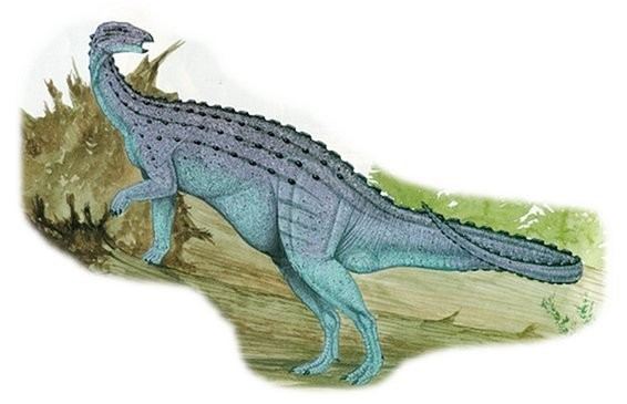 Emausaurus imagesdinosaurpicturesorgemausaurus5d52jpg
