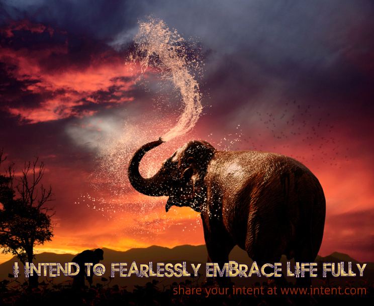 Embrace Life Fearlessly Embrace Life Intent Blog
