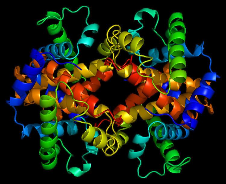 Embryonic hemoglobin