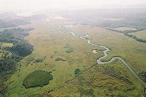 Embu-Guaçu River httpsuploadwikimediaorgwikipediacommonsthu