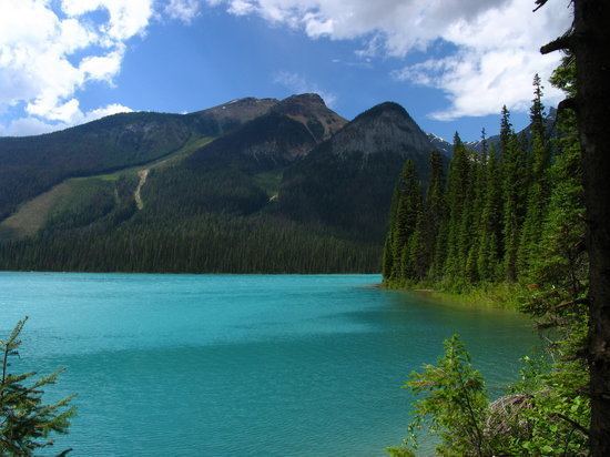 Emerald Lake (British Columbia) httpsmediacdntripadvisorcommediaphotos01