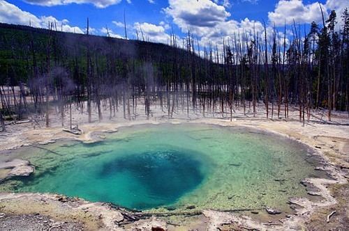 Emerald Spring Emerald Spring Norris Geyser Basin Yellowstone National Park