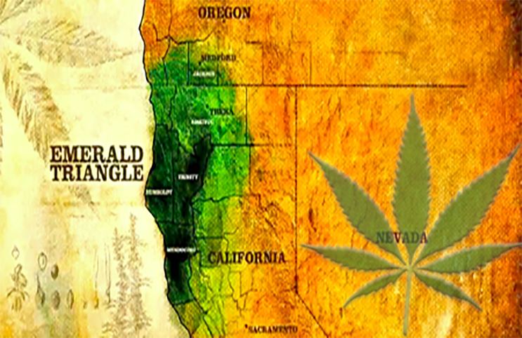 Emerald Triangle Is Prohibition Enabling Sexual Assault In The Emerald Triangle