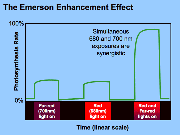 Emerson effect Light