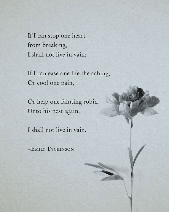 Emily Dickinson 31 mejores imgenes de A Poetic Soul en Pinterest poemas de Emily