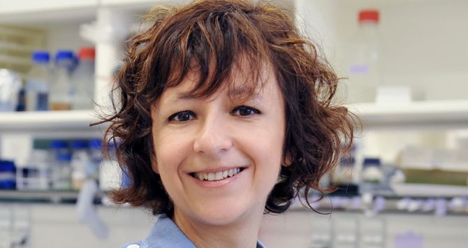 Emmanuelle Charpentier The woman with the DNA scissors HelmholtzGemeinschaft