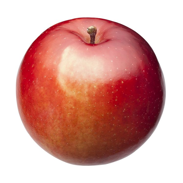 Empire (apple) Michigan Apple Varieties Michigan Apple Committee
