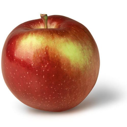 Empire (apple) Apple Varieties of New York State Empire NY Apple Association