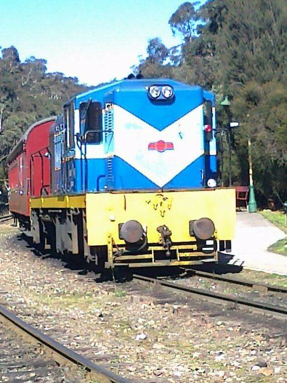 Emu Bay Railway 10 class