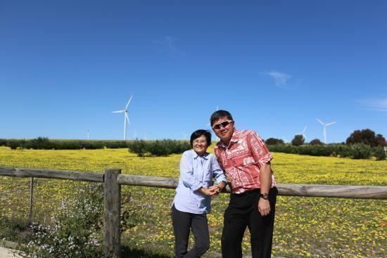 Emu Downs Wind Farm Emu Downs Wind Farm Cervantes Australia Top Tips Before You Go