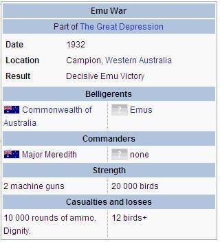 Emu War emuwar Tumblr