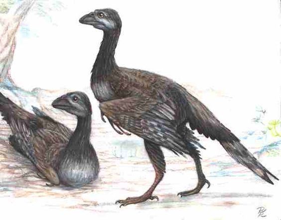 Enantiornithes Art illustration Prehistoric Birds Enantiornithes quotopposite