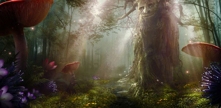 Enchanted forest 1000 images about Enchanted Forest on Pinterest Nature Magic