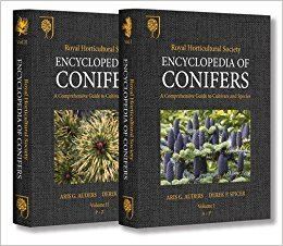 Encyclopedia of Conifers httpsimagesnasslimagesamazoncomimagesI6