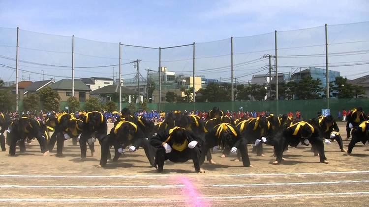 Ōendan CHS Sports Day 2013 Yellow Team endan cheering squad 2nd version