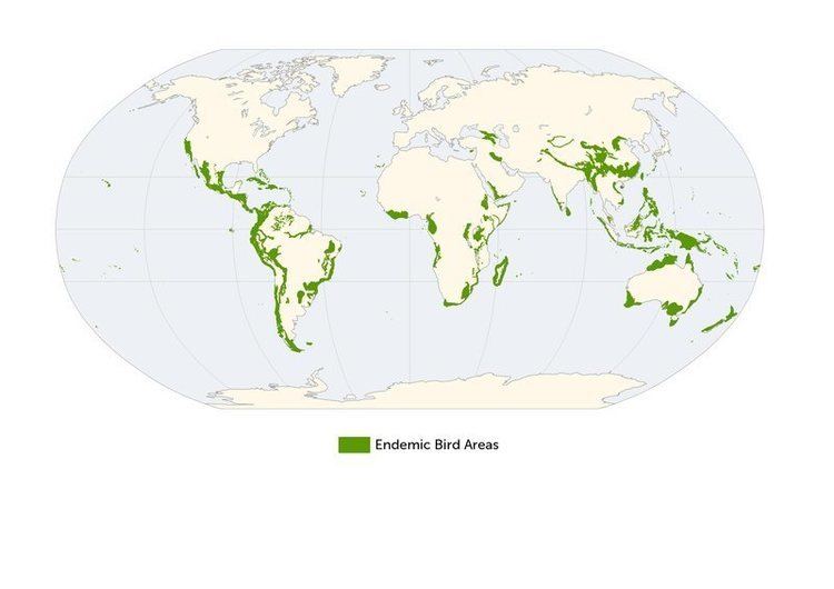 Endemic Bird Area tempbiodiversityazorgsystemimagesW1siZiIsIjI