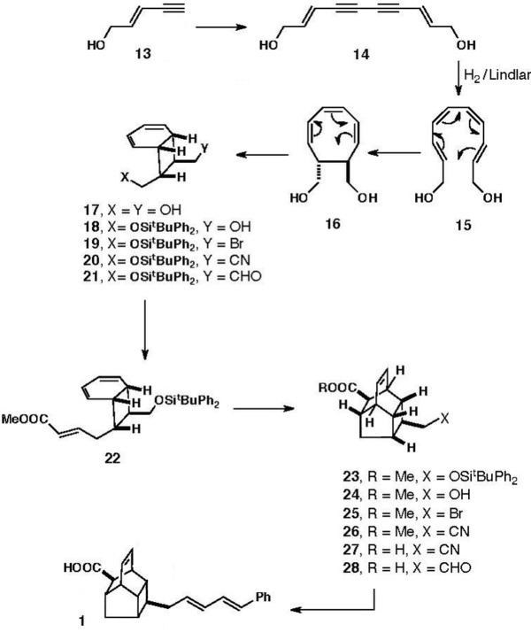 Endiandric acid C httpsuploadwikimediaorgwikipediacommonsthu