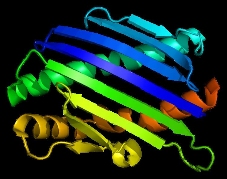 Endothelial protein C receptor