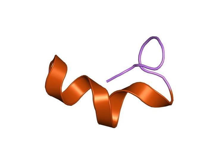 Endothelin 1