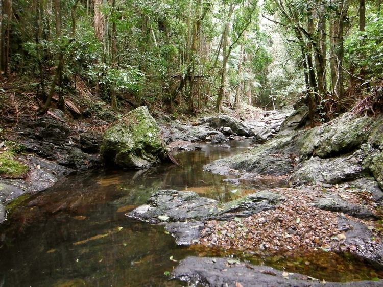 England Creek, Queensland httpstranstrifileswordpresscom201306dscf0