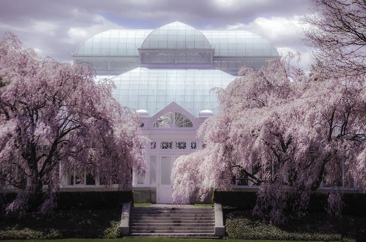 Enid A. Haupt Enid Haupt Conservatory New York Botanical Garden Photograph by