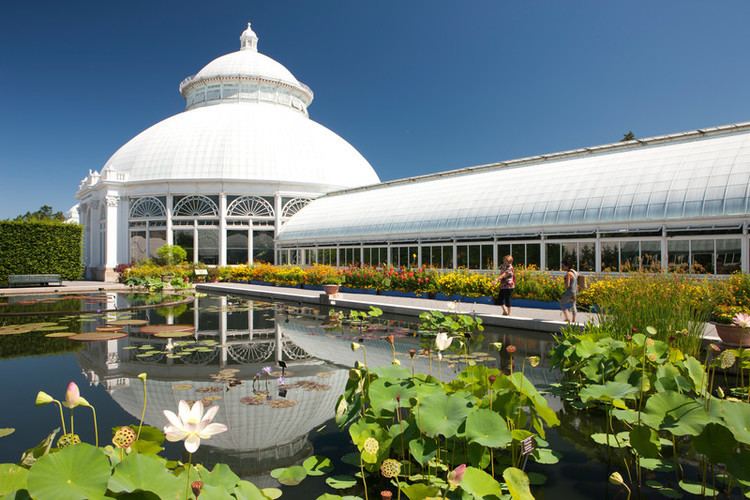 Enid A. Haupt Enid A Haupt Conservatory Archives Plant Talk